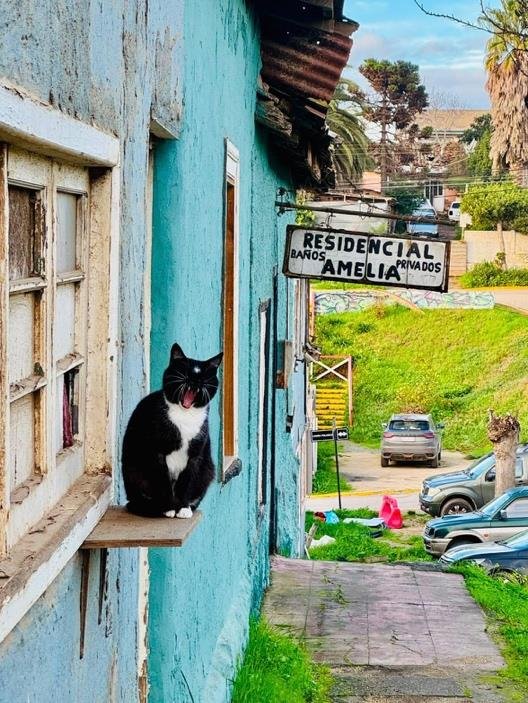 Fotografía de «El bostezo del tiempo»