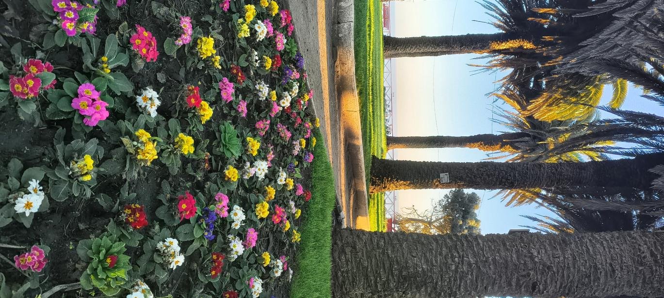 Fotografía de «Instantes triviales»